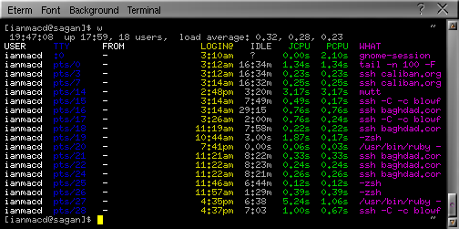 image of coloured w output
